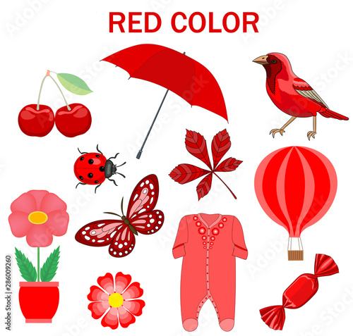 Red objects items on a white background