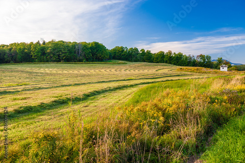 Pattern of cut hay on a warm late summer afternoon.