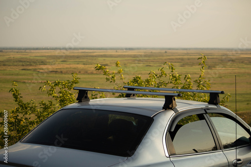 Car is parking, horizontal nature view, light green background