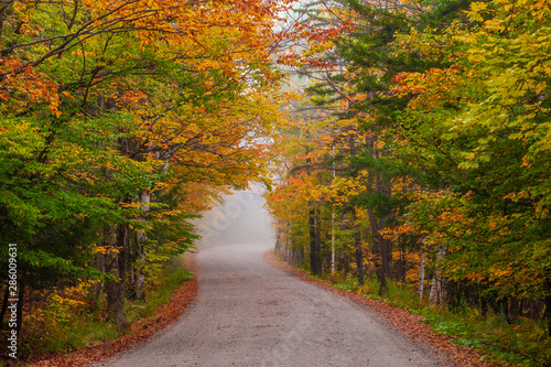 Empty gravel country road during the fall foliage season.