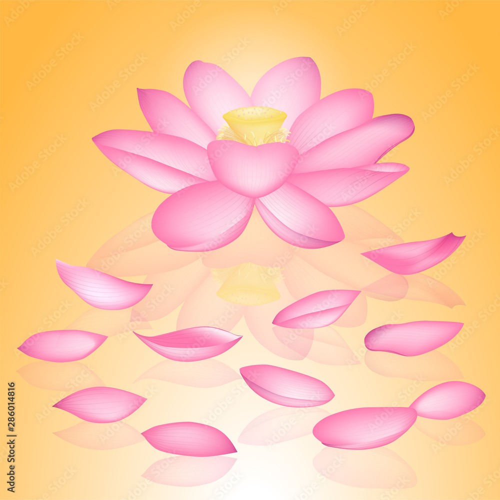 Vector lotus flowers isolated on gold background illustration, yoga, health care Vector lotus flowers isolated on gold background illustration, yoga, health care