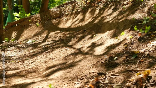 Wallpaper Mural Professional bicyclist riding dh mountain bike on forest downhill. Cyclist riding on forest trail on full suspension mountain bicycle. Exteme bicycle rider training trick on dusty path Torontodigital.ca