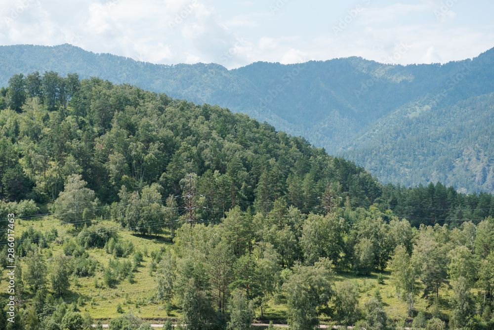 beautiful view of the mountains. green mountains. forest in the mountains. Gorny Altai in Russia. Leisure. Tourism development.