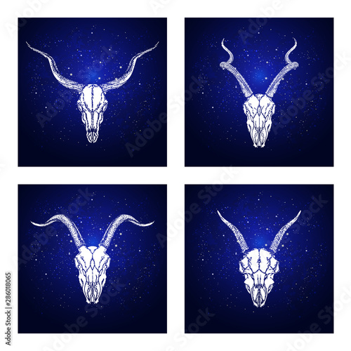 Vector set of four illustrations with hand drawn skulls antelopes and goats on blue abstract background.