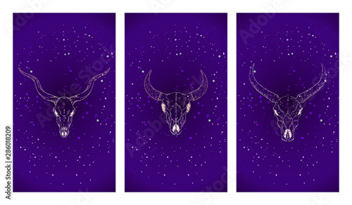 Vector set of three illustrations with gold silhouettes skulls antelope, bull and buffalo against the background of the starry sky. Purple color image.