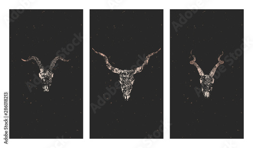Vector set of three illustrations with gold silhouettes skulls antelopes, goat and grunge elements on black background.