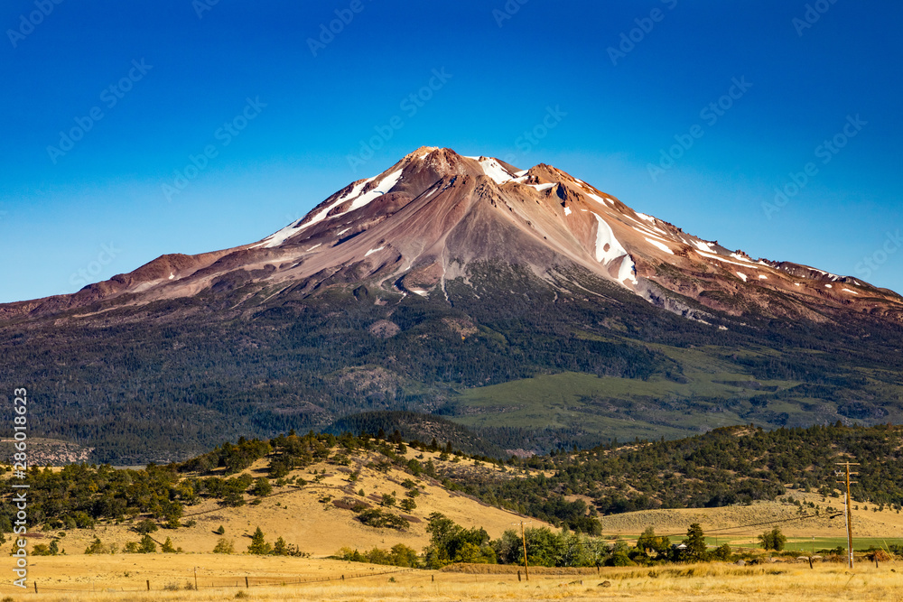 Mt. Shasta with a little snow and a bright clear blue sky dry golden yellow grass and some small trees in the foreground