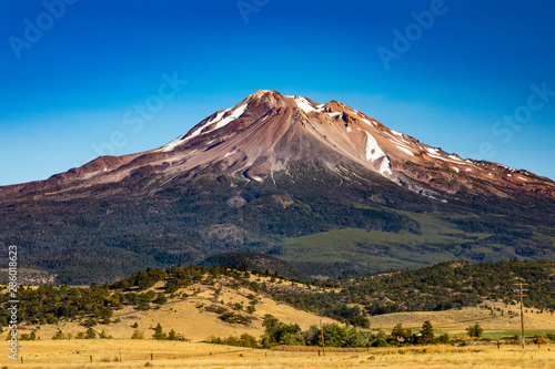 Mt. Shasta with a little snow and a bright clear blue sky dry golden yellow grass and some small trees in the foreground