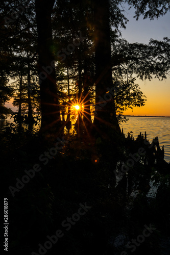 This is a very beautiful summer sunset at Reelfoot Lake in Tennessee.