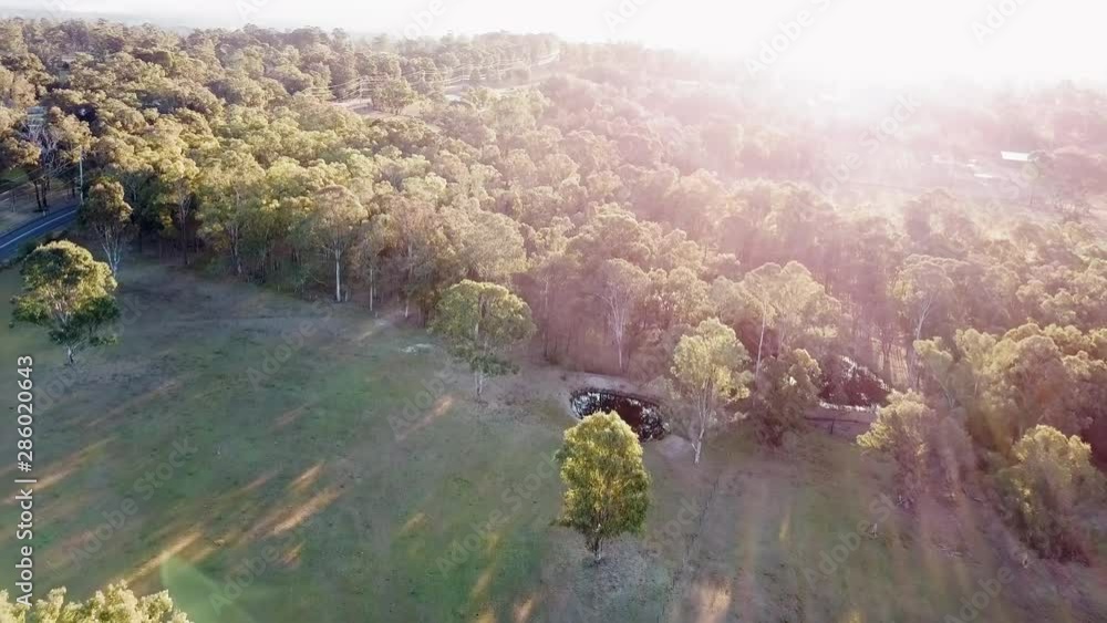 Wooded farmland in the Australian bush at sunset. Lens flare and sun rays over forested bushland and farms in NSW, Australia Wooded farmland in the Australian bush at sunset. Lens flare and sun rays over forested bushland and farms in NSW, Australia