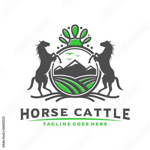 Vintage or retro cattle horse logo design