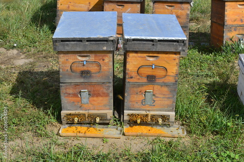 The bee hives in outdoor