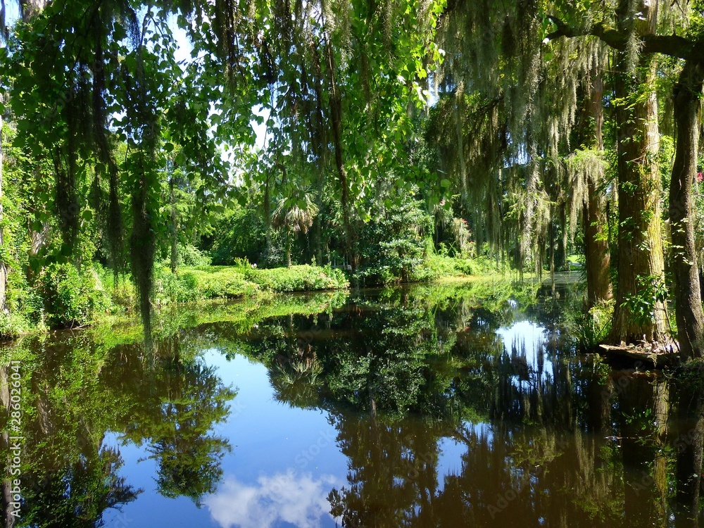 Water Surrounded By Greenery With Cloudy Sky Reflection Water Surrounded By Greenery With Cloudy Sky Reflection