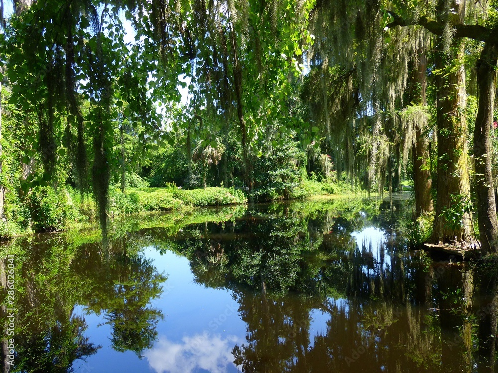 Water Surrounded By Greenery With Cloudy Sky Reflection