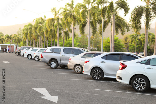 Closeup of rear or back side of white car with other cars parking in outdoor parking lot in the evening.  © Amphon