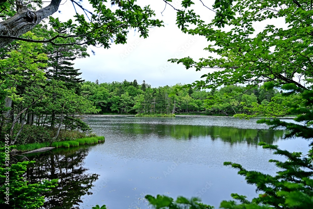 遊歩道から見た知床五湖の情景＠北海道