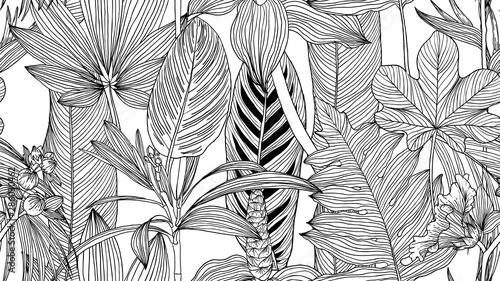 Botanical seamless pattern, black and white tropical leaves and flowers line art ink drawing on white