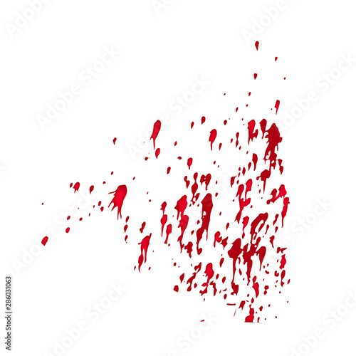 A spot of blood. Stains blood splatter. spray. Vector illustration on isolated background.