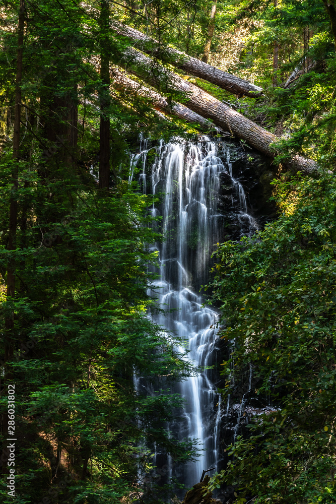 Berry Creek Falls, Big basin, as seen from clearing between the trees.