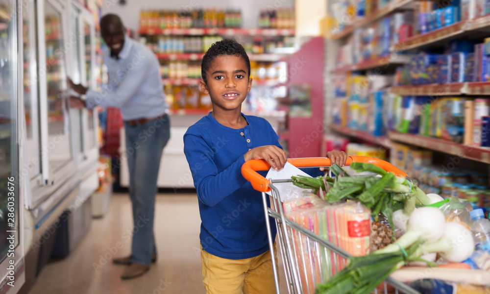 Glad African American boy carrying purchases