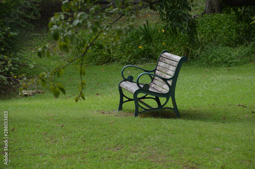 庭園の芝生の上にベンチがある風景