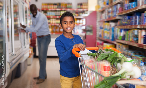 Glad African American boy carrying purchases