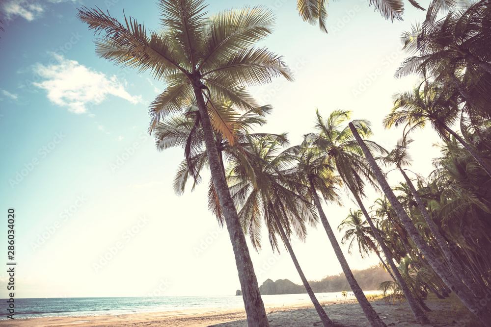 Obraz premium Tropical beach