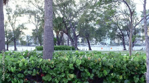 Cars pass by in Key Biscayne. photo