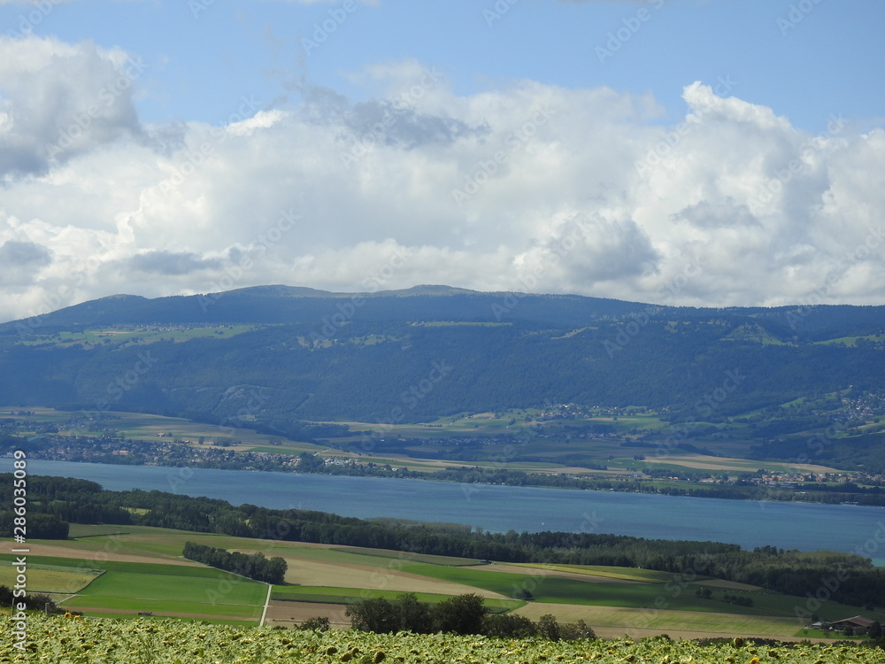 Obraz premium paysages Suisse lac foret montagnes nuages