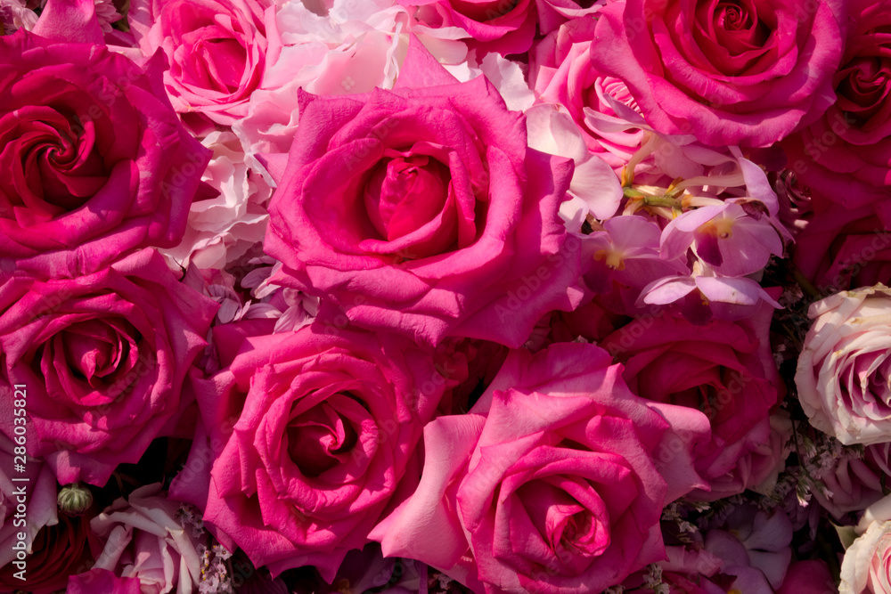 An arrangement of different pink roses. An arrangement of different pink roses.