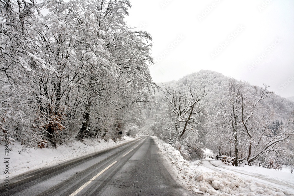 a road through the trees in winter a road through the trees in winter