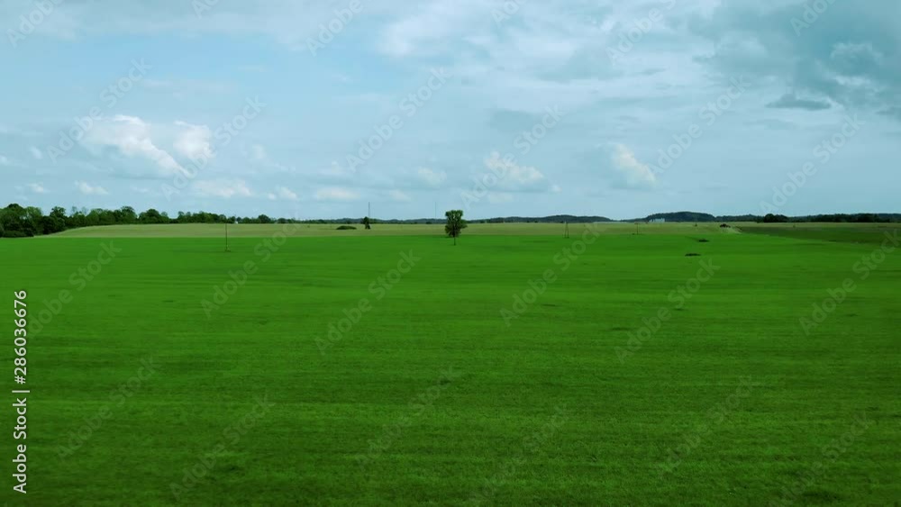 Flight over green grass field, one tree on horizont and blue sky over, aerial shot by drone Flight over green grass field, one tree on horizont and blue sky over, aerial shot by drone
