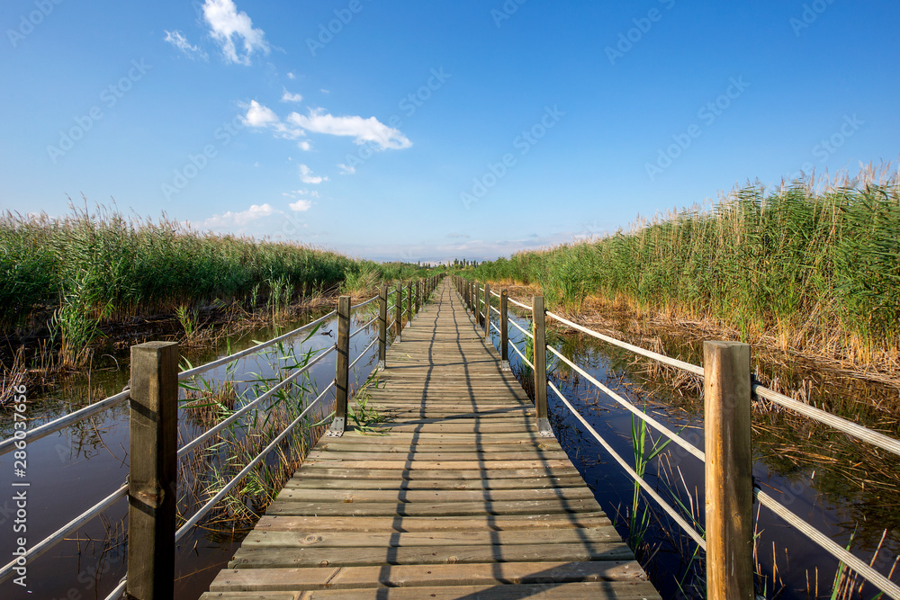 The reeds with bridge in bird sanctuary Turkey.
