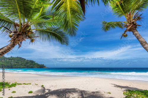 Palm trees on Sunny beach and turquoise sea in Seychelles. Summer vacation and tropical beach concept.