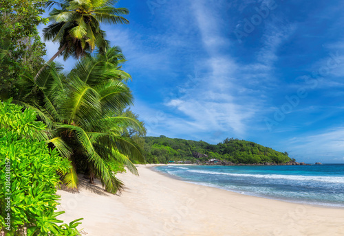 Fototapeta Naklejka Na Ścianę i Meble -  Panoramic view of paradise beach in tropical island. Coconut palms on sunny beach and turquoise sea.  