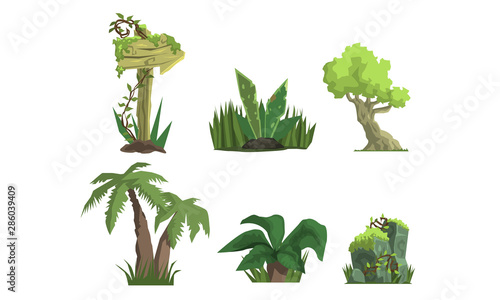 Tropical Jungle Trees and Plants Set, User Interface Assets for Mobile App or Video Game Vector Illustration