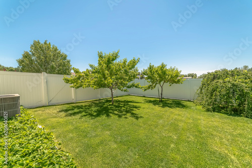 Yard of a home with lush grasses and small trees against blue sky on a sunny day