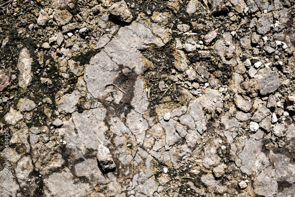 The texture of the earth The texture of the earth