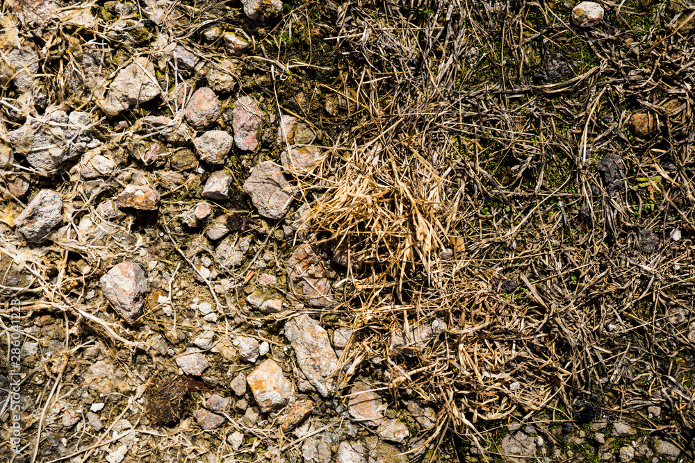 The texture of the earth The texture of the earth