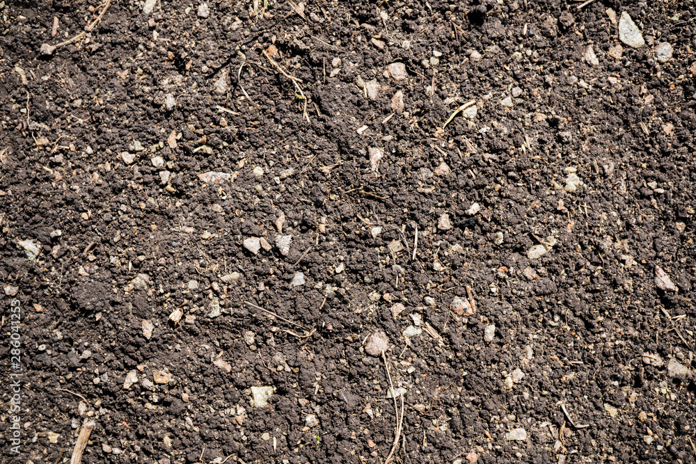 The texture of the earth