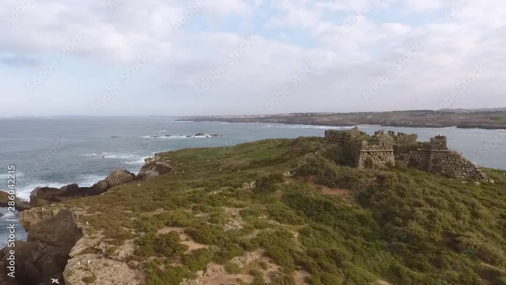 Flying over Porto Covo Portugal. view of Pessegueiro Island Beach, with waves crashing along the coast, and with lots of seabirds flying by Flying over Porto Covo Portugal. view of Pessegueiro Island Beach, with waves crashing along the coast, and with lots of seabirds flying by