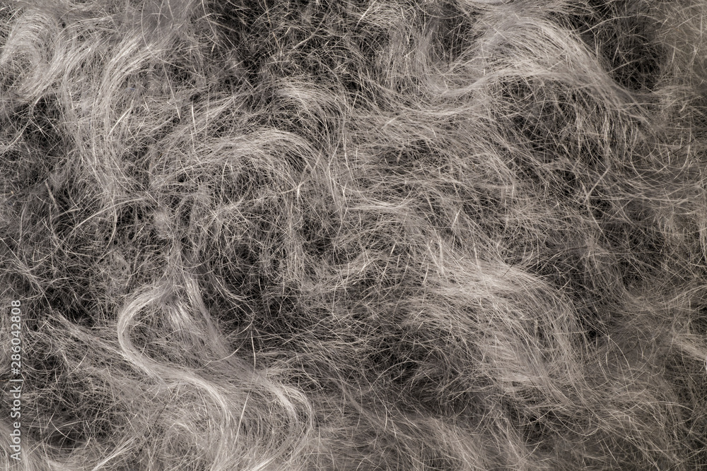Obraz premium Wool texture