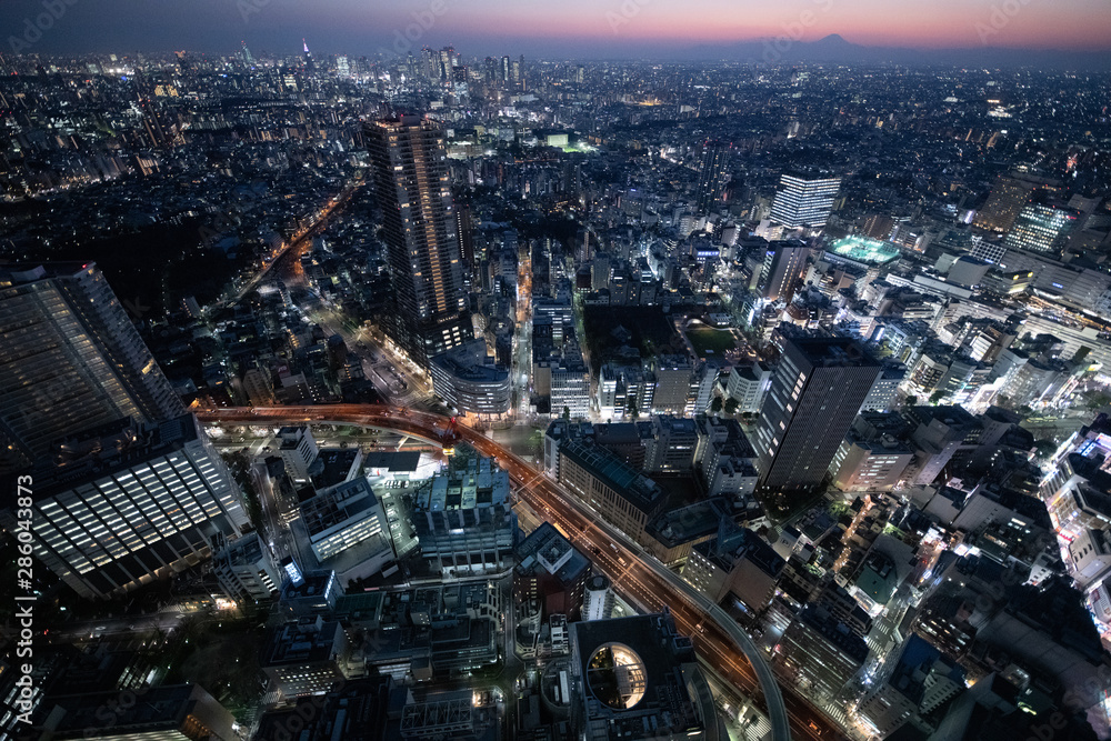 Fototapeta premium Overlook the night view of Tokyo