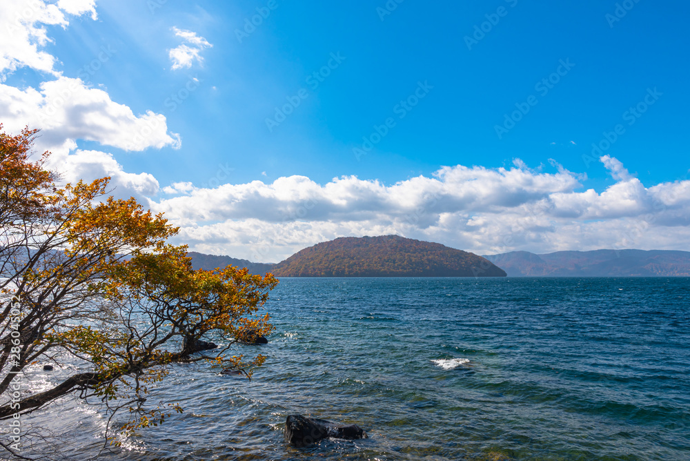 Beautiful autumn foliage scenery landscapes. Fall is full of magnificent colors. View from shore of Lake Towada, clear blue sky and water, white cloud, sunny day background. Aomori Prefecture, Japan