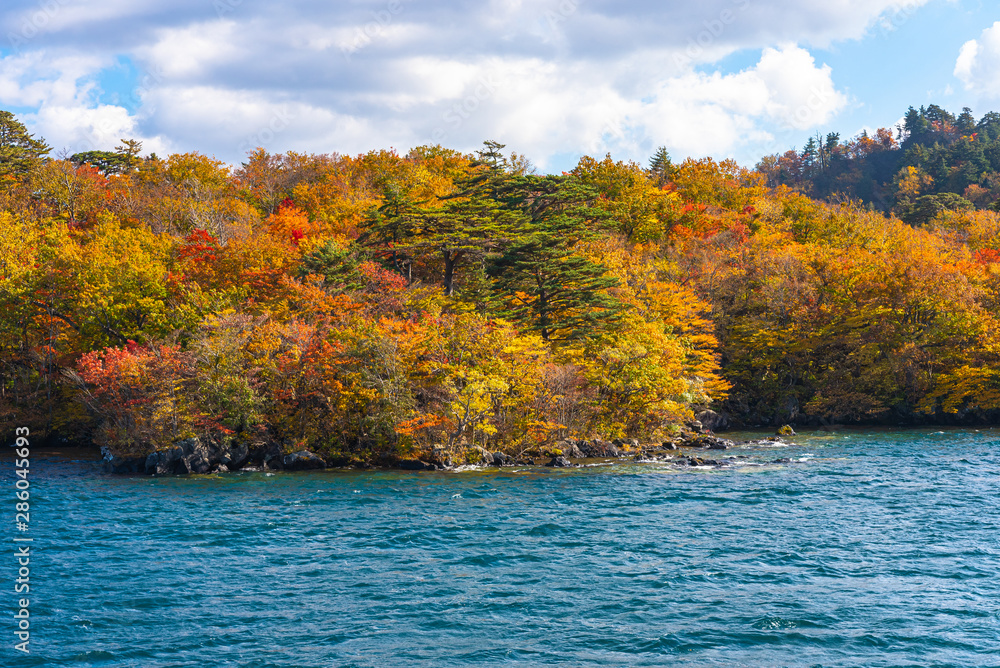 Beautiful autumn foliage scenery landscapes. Fall is full of magnificent colors. View from Lake Towada sightseeing Cruise ship. Clear blue sky, water, white cloud, sunny day background. Aomori, Japan Beautiful autumn foliage scenery landscapes. Fall is full of magnificent colors. View from Lake Towada sightseeing Cruise ship. Clear blue sky, water, white cloud, sunny day background. Aomori, Japan