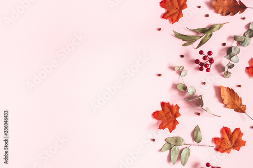 Autumn composition. Dried flowers, eucalyptus leaves, rowan berries on pink background. Autumn, fall, thanksgiving day concept. Flat lay, top view, copy space © Flaffy
