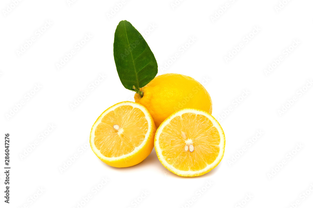 lemon fruit slice with leaf isolated on white background lemon fruit slice with leaf isolated on white background