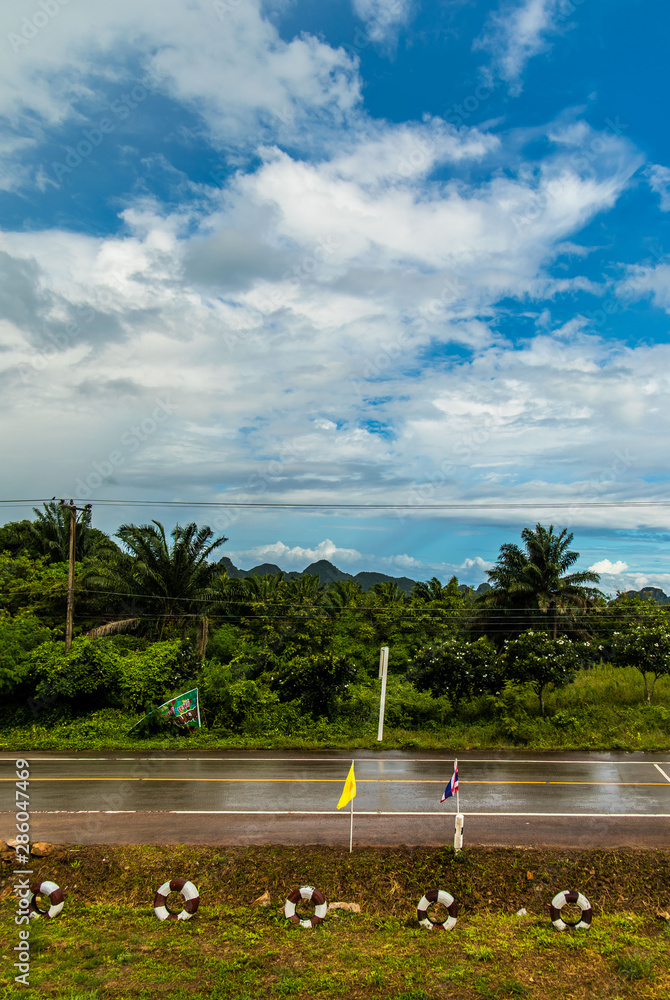 Obraz premium Looking at the sky.