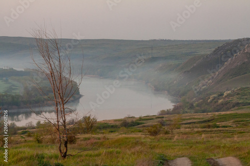 morning reeds mist fog and surface on the river