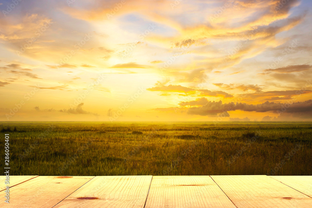 wooden table and empty lawn at sunset wooden table and empty lawn at sunset